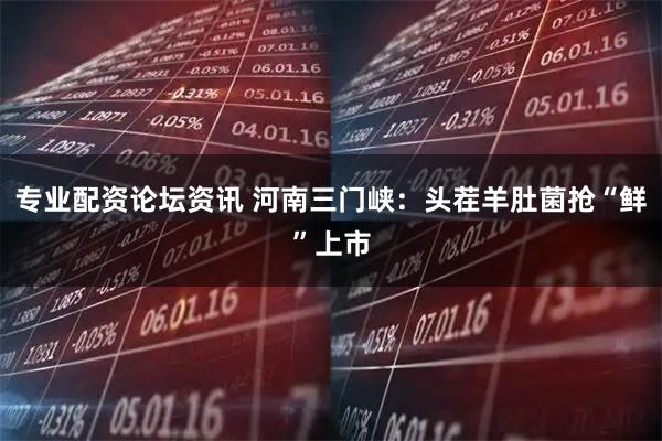 专业配资论坛资讯 河南三门峡：头茬羊肚菌抢“鲜”上市