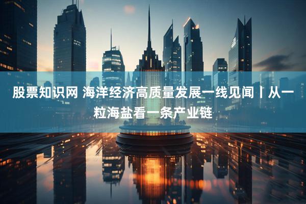 股票知识网 海洋经济高质量发展一线见闻丨从一粒海盐看一条产业链